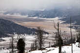 21 января
Семинский перевал. Где-то там слева в зарослях прячется Теньгинское озеро