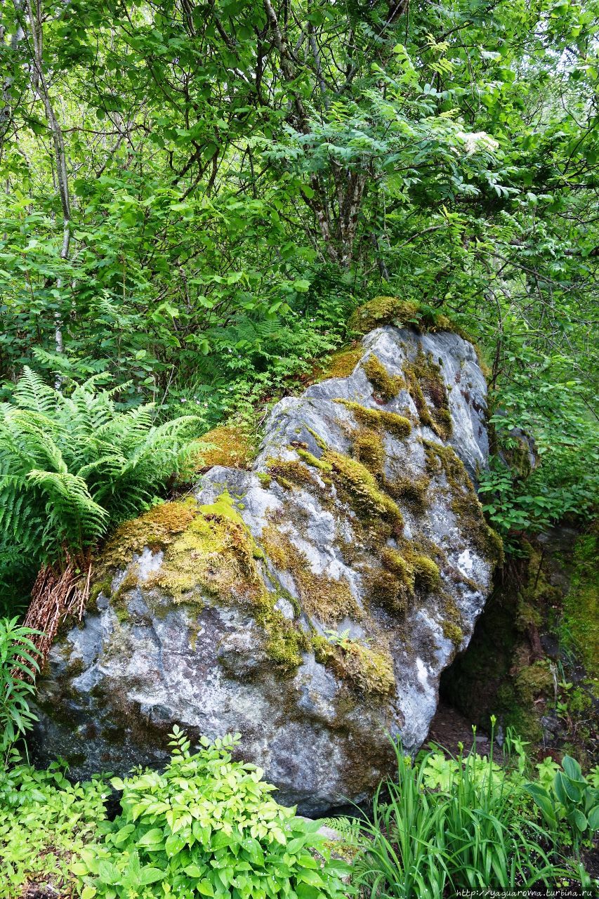 По дороге с облаками вдоль долины Лодален Олден, Норвегия По дороге с облаками вдоль долины Лодален Олден, Норвегия
