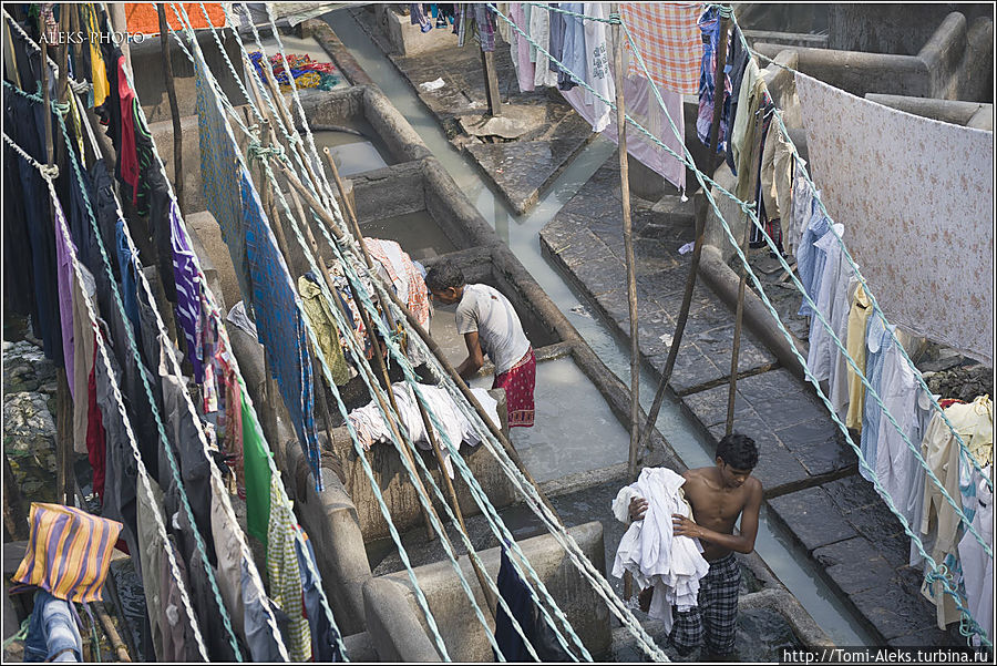 Развешивают белье без прищепок...
* Мумбаи, Индия