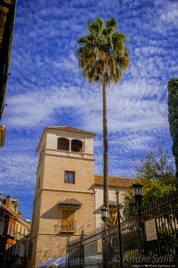 AC Hotel Málaga Palacio Малага, Испания