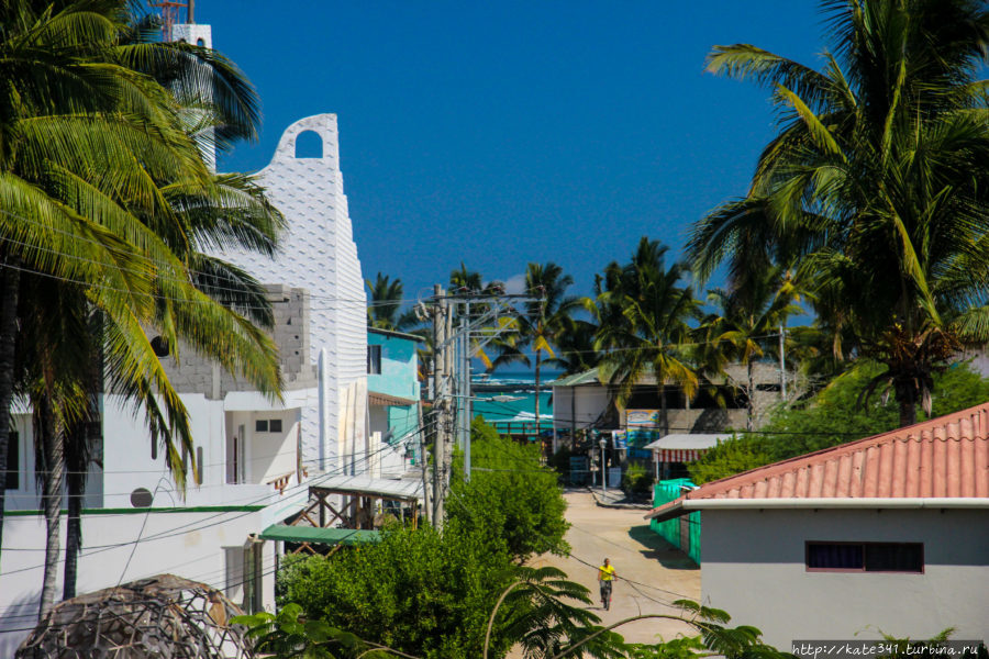 Эквадор c трехлеткой. Часть 4. Исабела. День 2 Остров Исабела, Эквадор