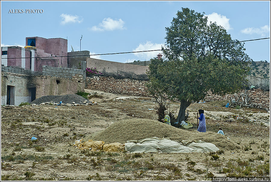 Здесь выращивают что-нибудь круглый год...
* Эссуэйра, Марокко
