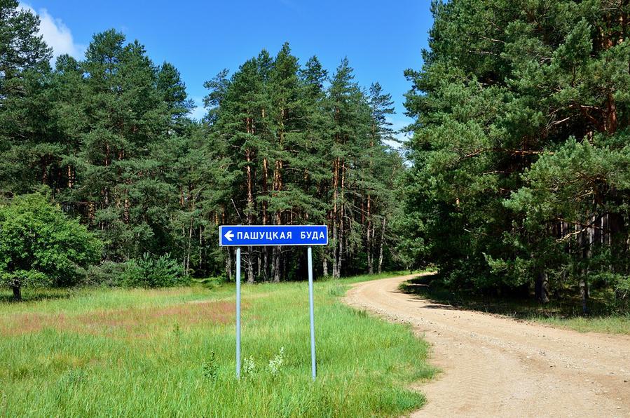 Внутри Беловежской пущи есть деревня — Пашуцкая Буда Беловежская Пуща Национальный Парк, Беларусь