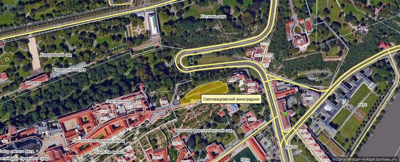 Виноградник Святого Вацлава / Svatováclavská vinice