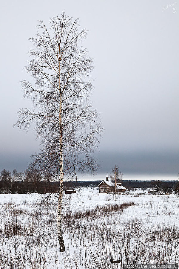 Часовня Успения Богородицы, деревня Васильево