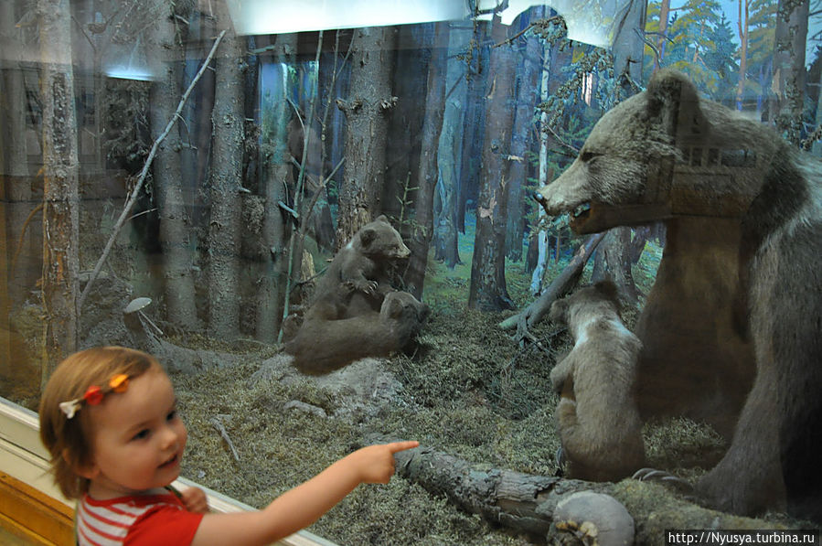 Медведица с медвежатами. Хорошо, что здесь она не будет бросаться на не прошенных гостей.