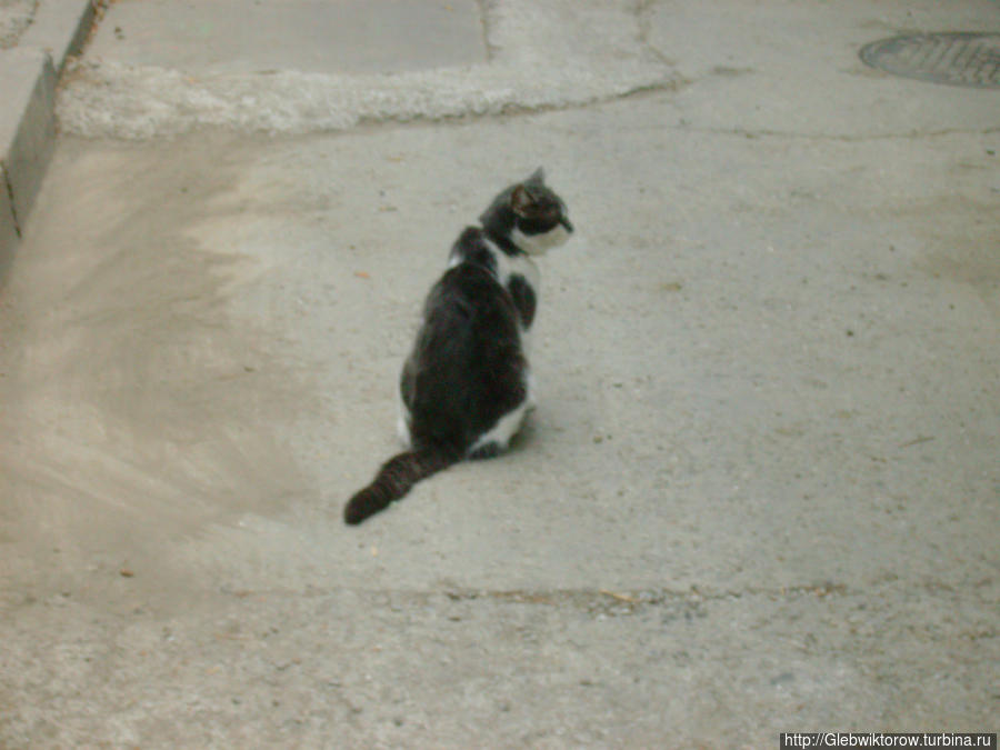 Прогулки по Алуште Алушта, Россия