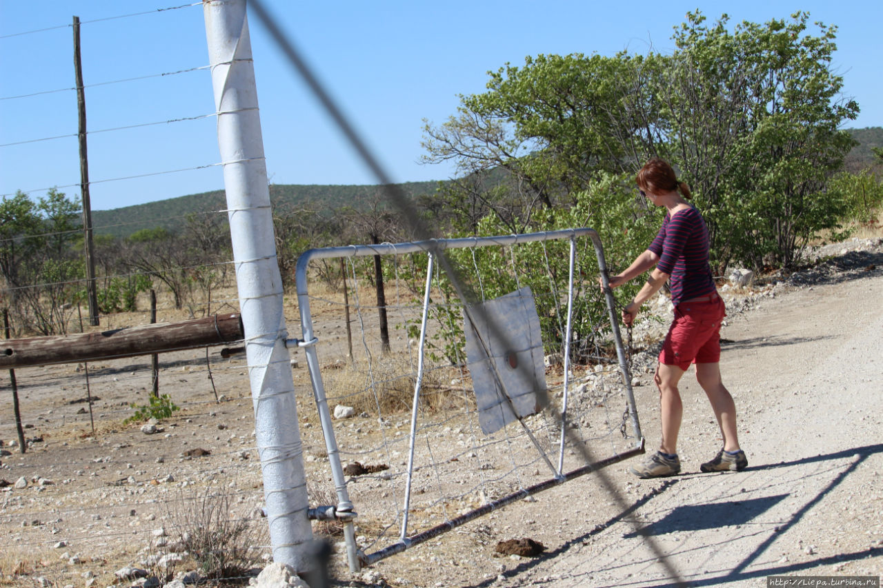 На въезде иногда встречают закрытые ворота. Надо самим отмотать цепь и снова закрыть за собой. Каманжаб, Намибия