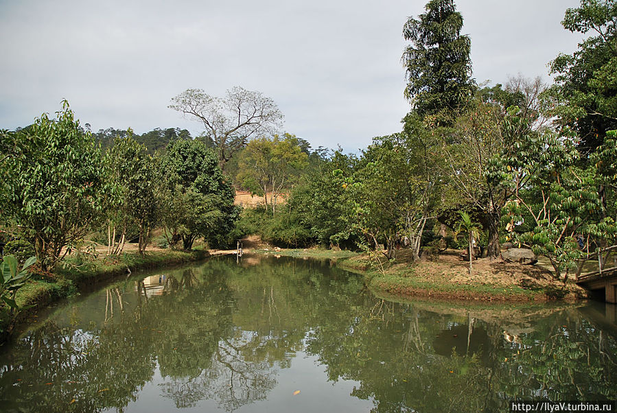 Природный парк Prenn Далат, Вьетнам