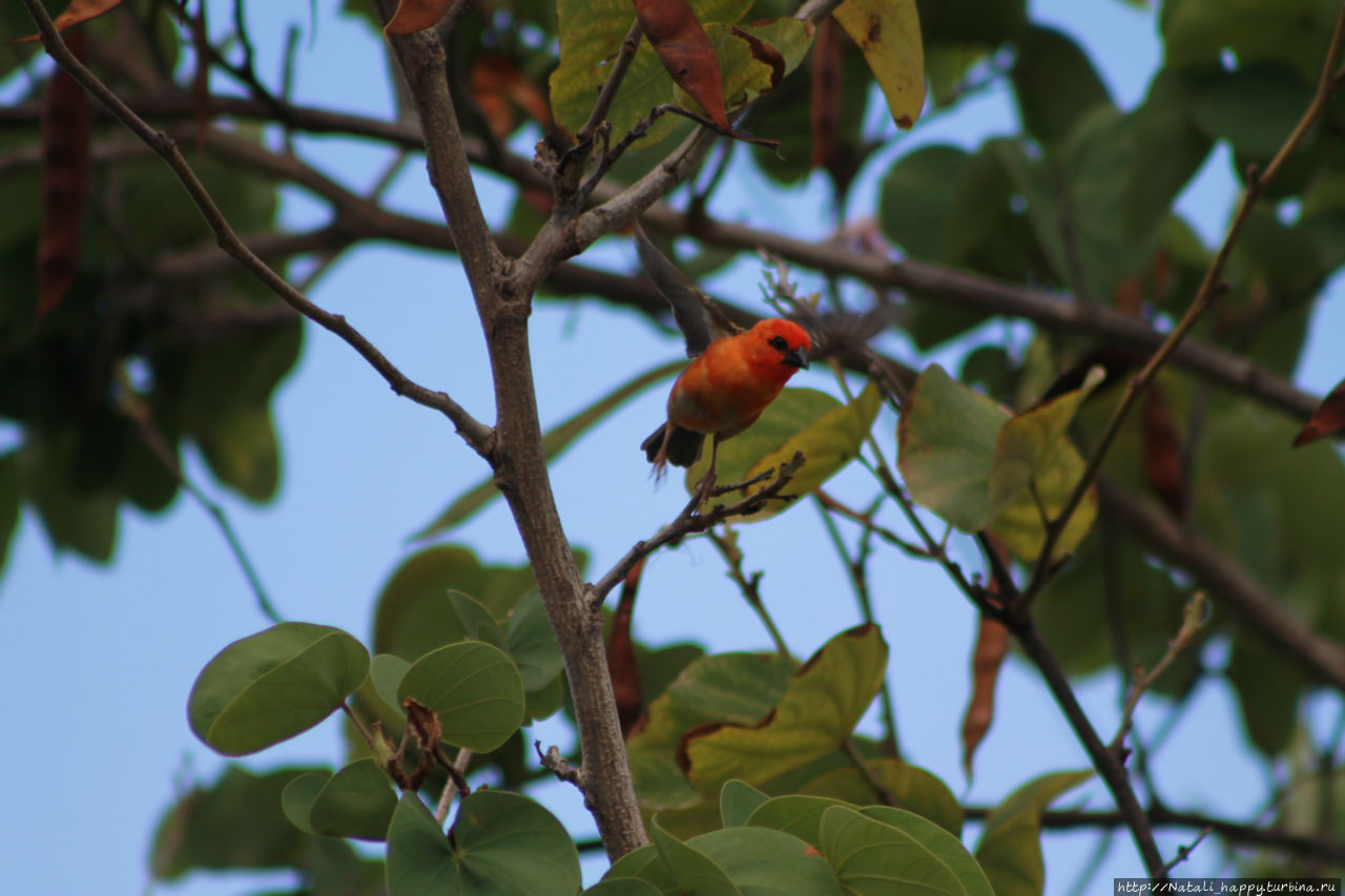 Не было печали...