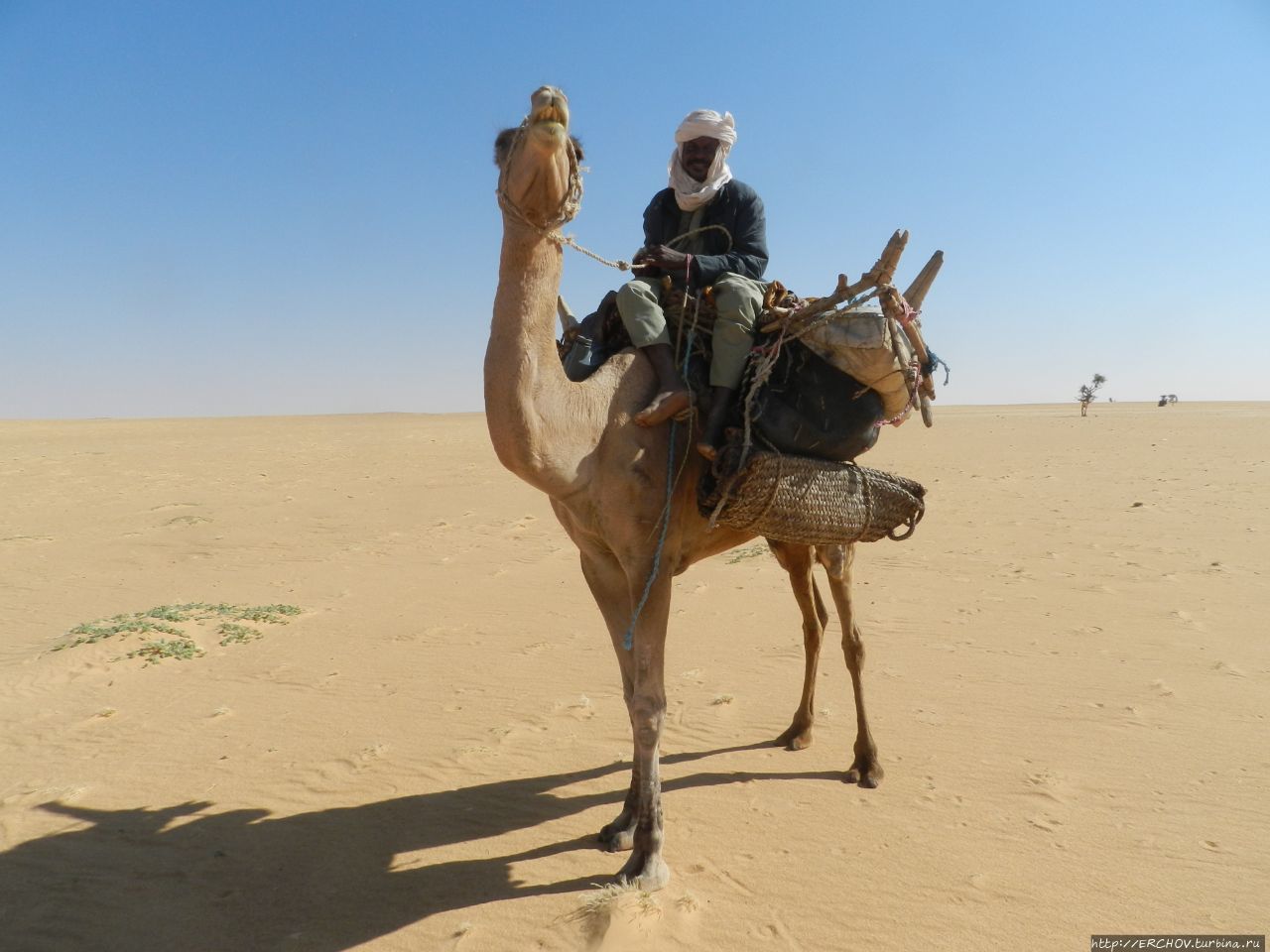 Мы вернулись из Чада Чад