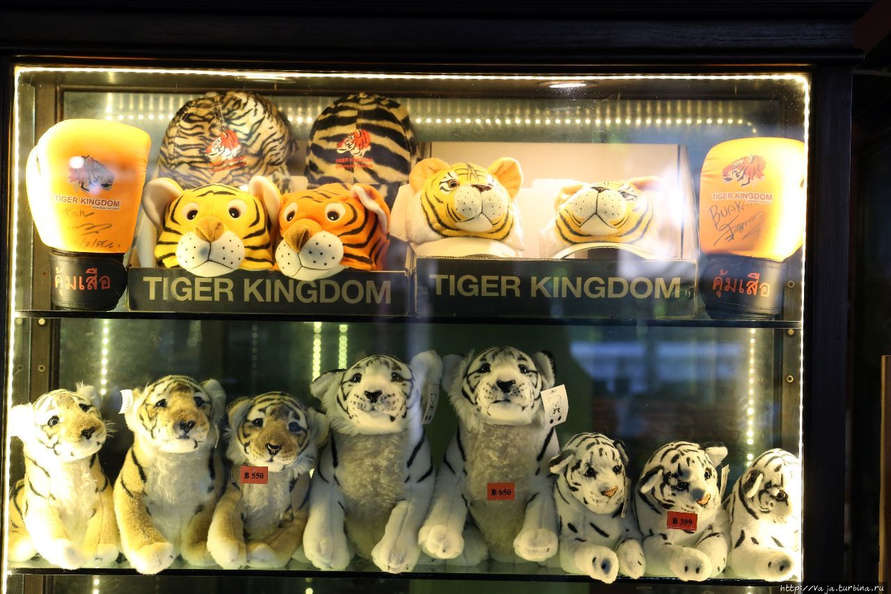 Королевство тигров Чиангмай, Таиланд