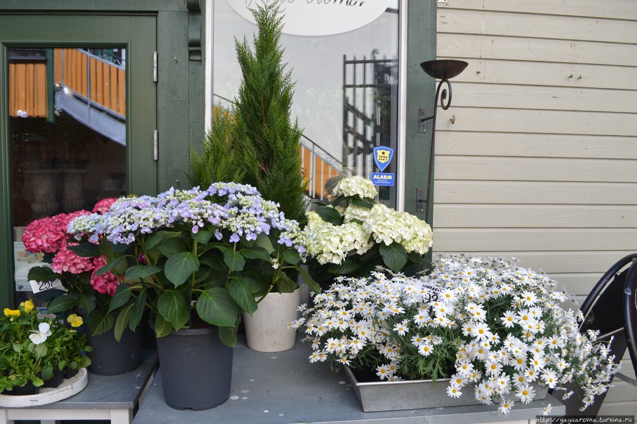 Заполярный курорт Тромсё. Вдоль и поперёк. Часть 1 Тромсё, Норвегия Заполярный курорт Тромсё. Вдоль и поперёк. Часть 1 Тромсё, Норвегия