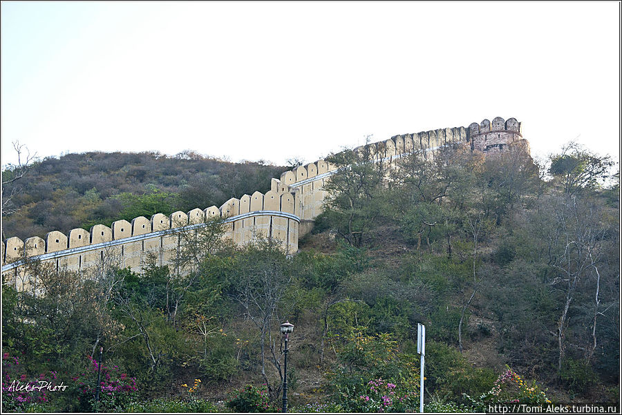Дорога в форт Амбер (Индийские Приключения ч26) Джайпур, Индия
