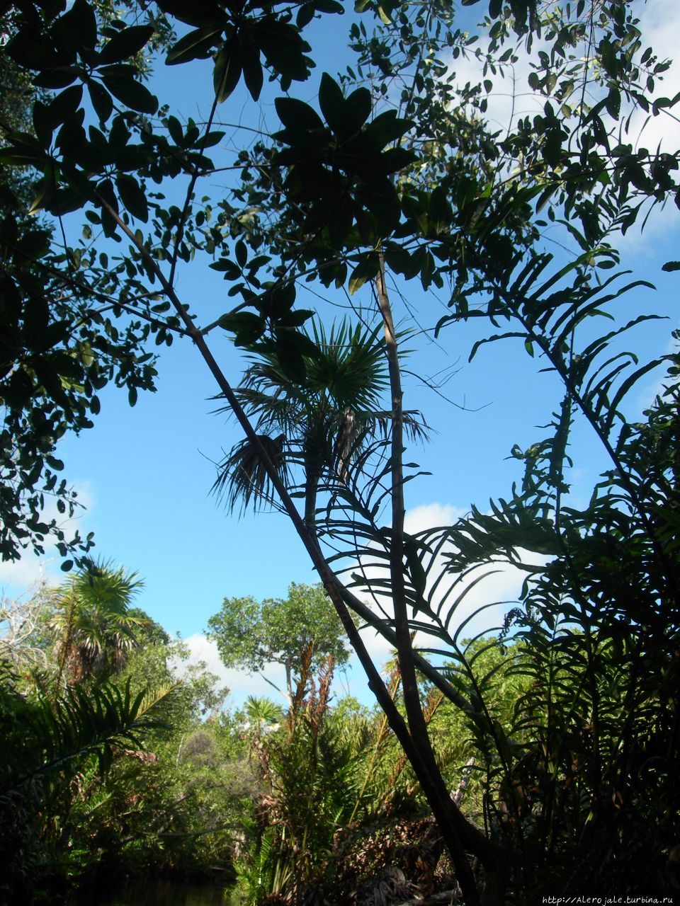 Hacienda Tres Rios Плая-дель-Кармен, Мексика