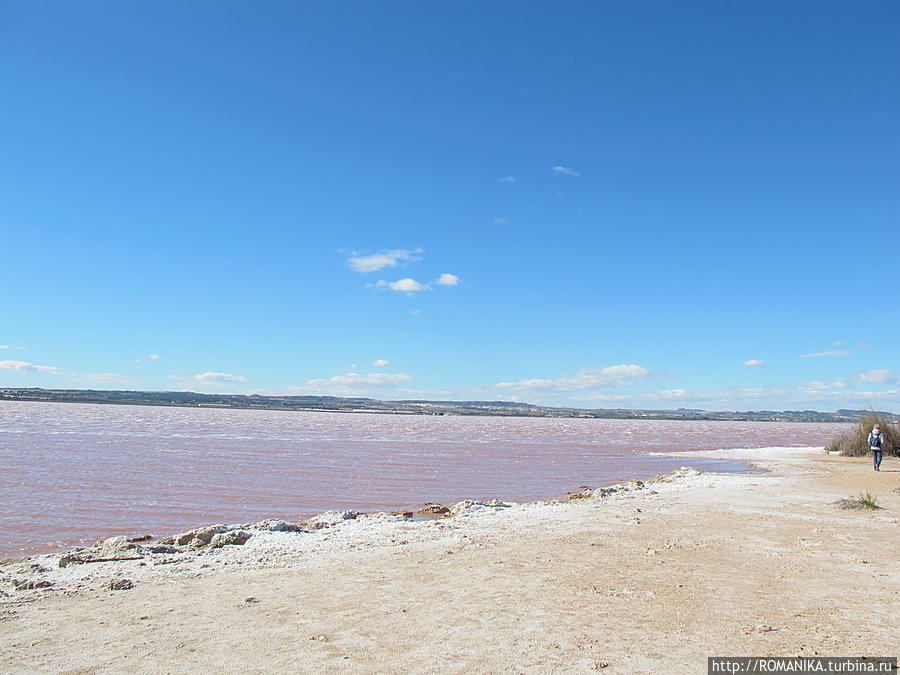 соленое розовое озеро... Торревьеха, Испания