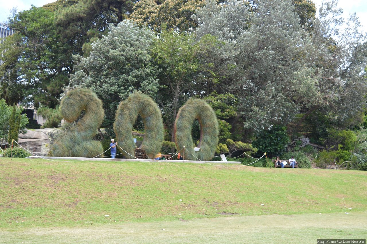 Королевский ботанический сад Сидней, Австралия
