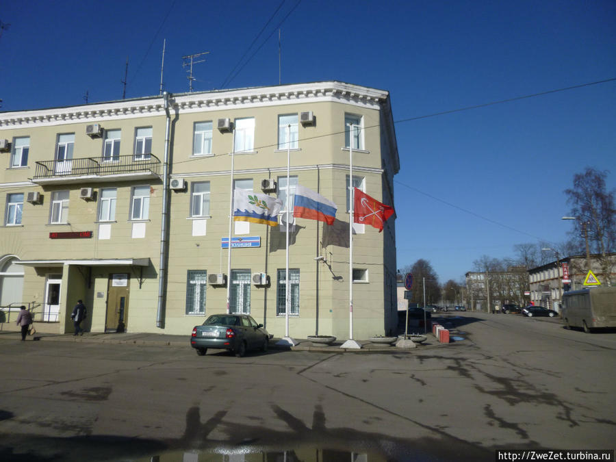 Под соснами Северной Ривьеры Сестрорецк, Россия