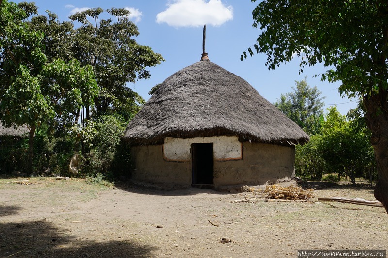 Типичный дом на юге Эфиопия