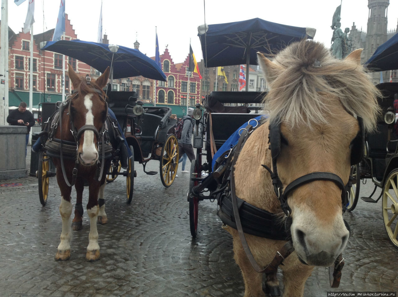 Повозки с лошадьми на центральной площади города Брюгге (The Markt (Market square)). Брюгге, Бельгия