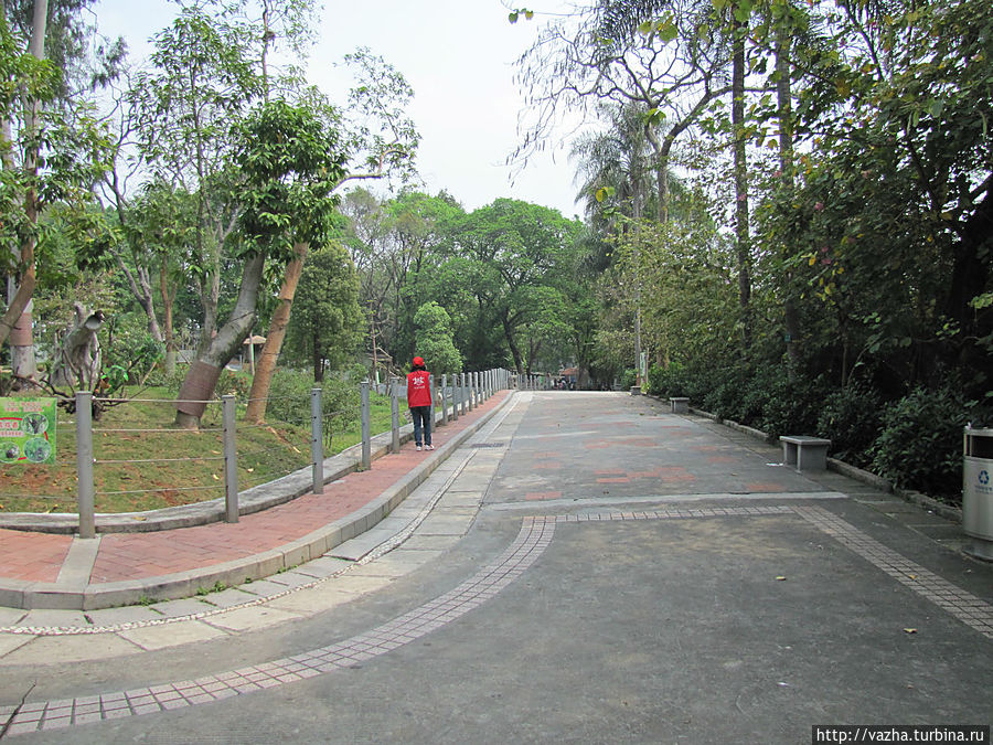 Зоопарк Гуанджоу Гуанчжоу, Китай