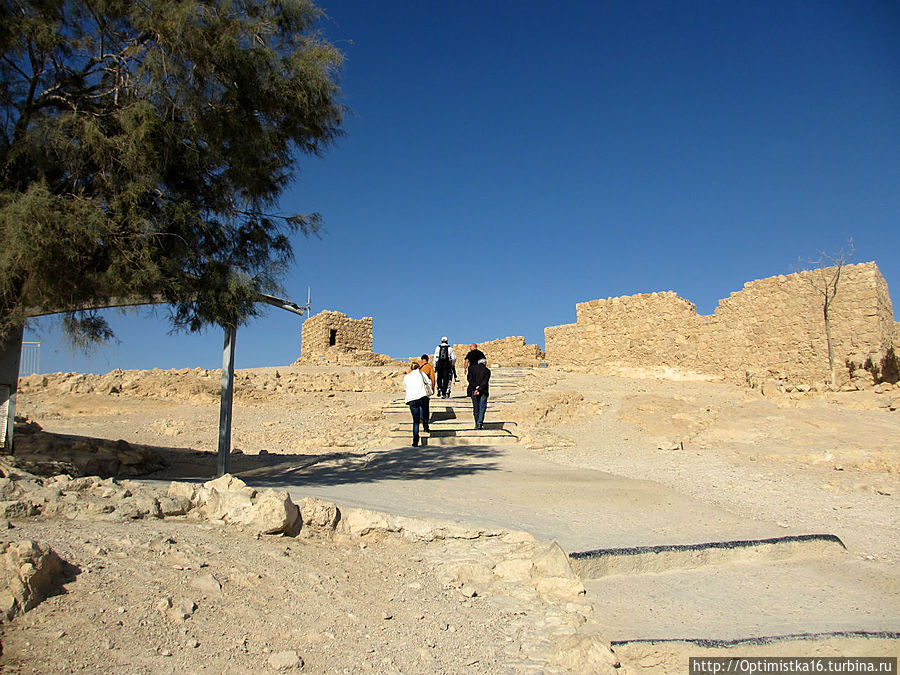 История крепости Масада, рассказанная в книге Н. А. Иониной Масада крепость, Израиль