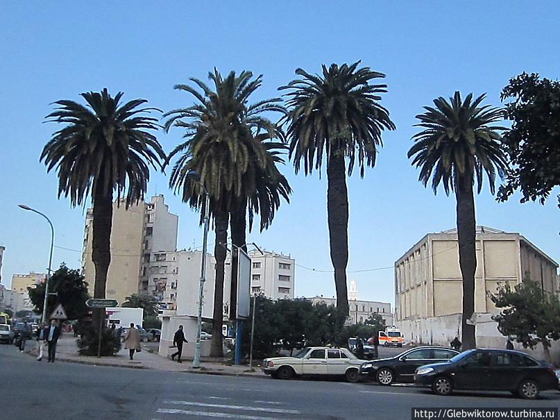 Касабланка январская Касабланка, Марокко