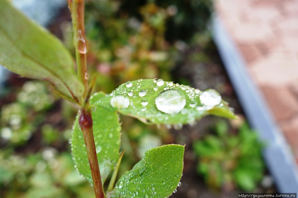 Мемориальный комплекс Площадь Славы Сахалина Южно-Сахалинск, Россия Мемориальный комплекс Площадь Славы Сахалина Южно-Сахалинск, Россия