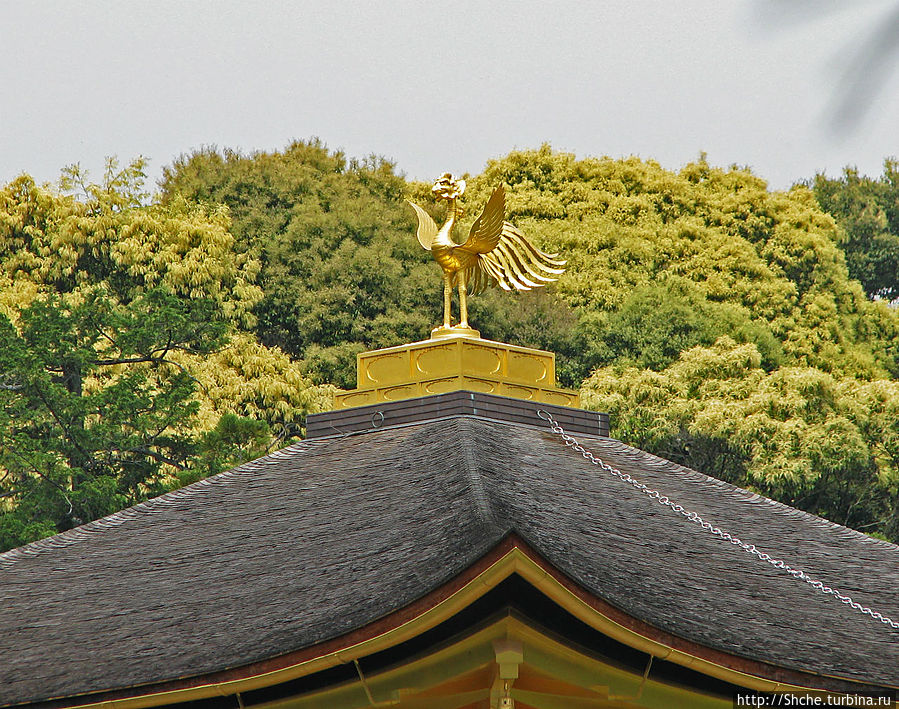 китайский феникс Киото, Япония