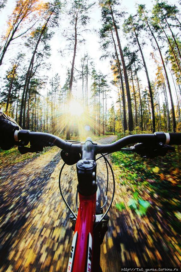 Про осень..про велоосень