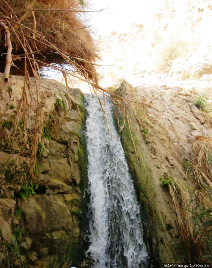 И водопадов Мертвое море, Израиль