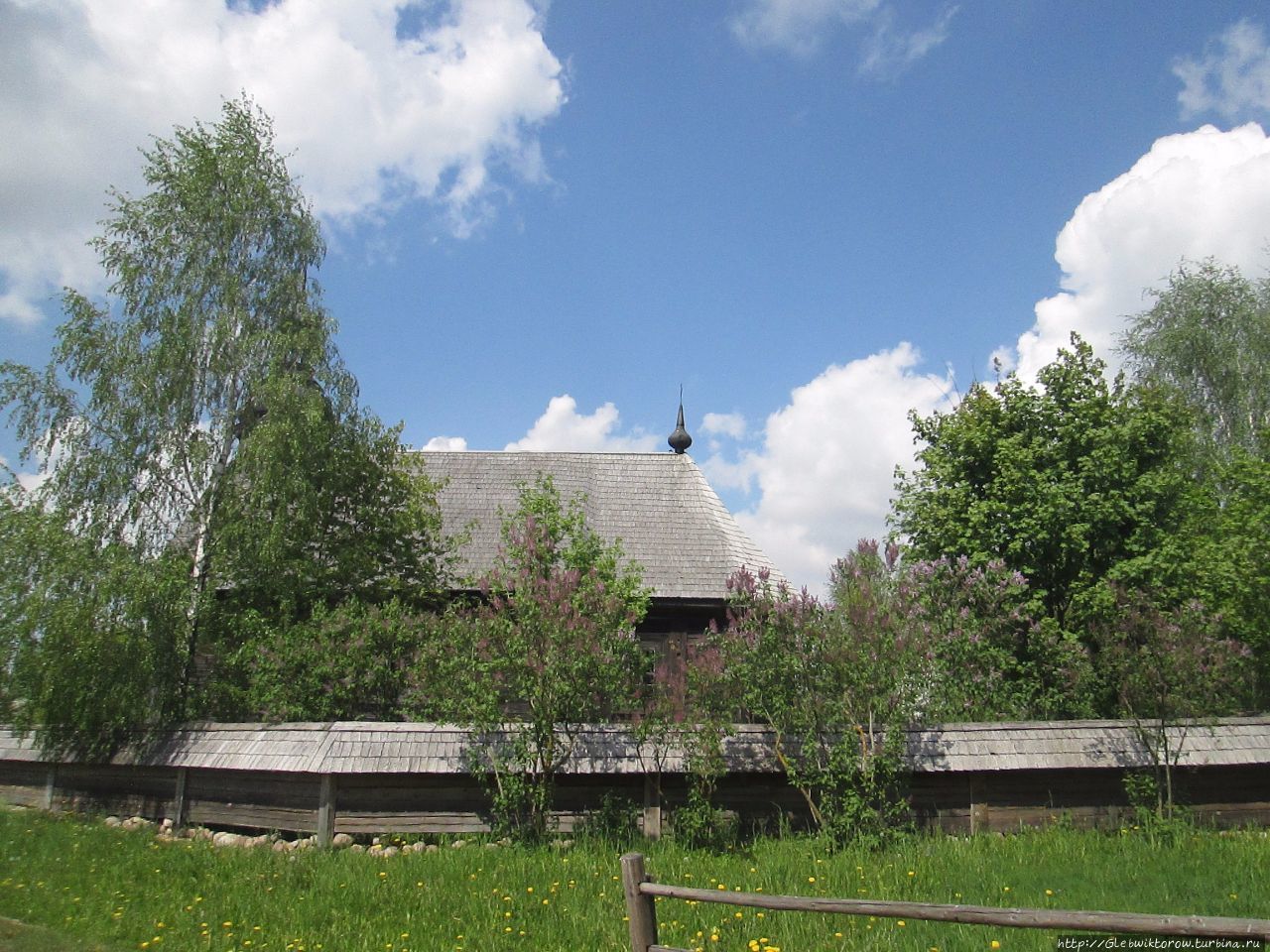 Центральная беларусь