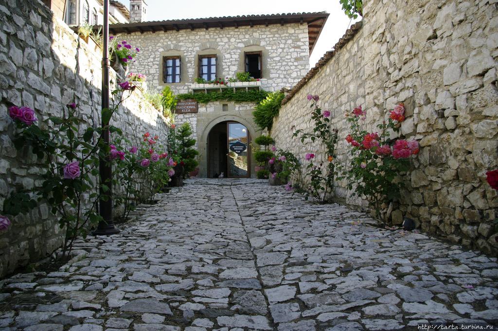 Фото из Интернета