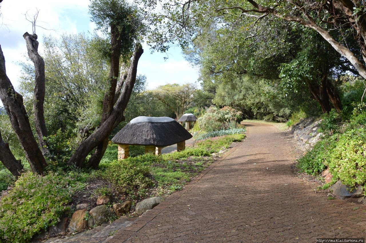 Кирстенбош Национальный Ботанический Сад Кейптаун, ЮАР