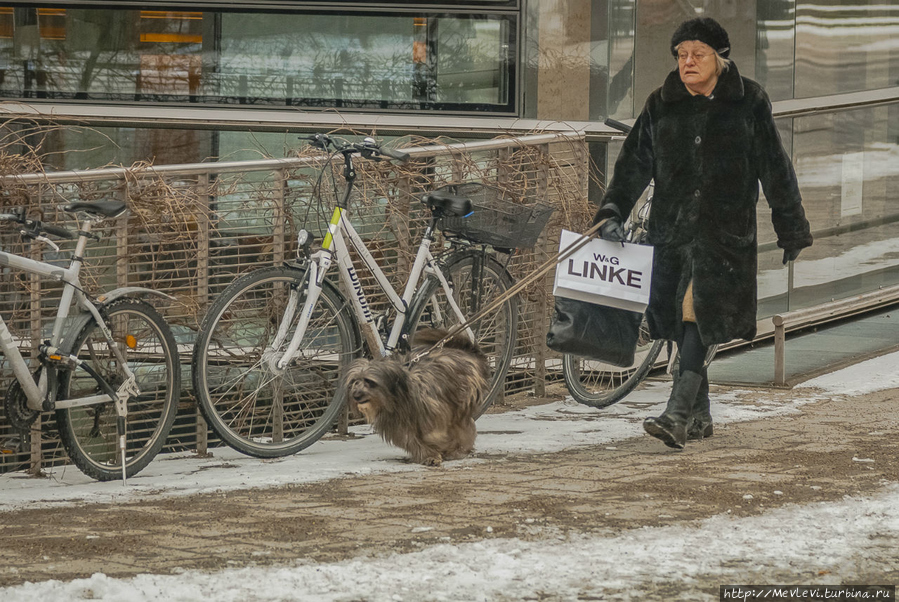 Отражения в Мюнхене Мюнхен, Германия
