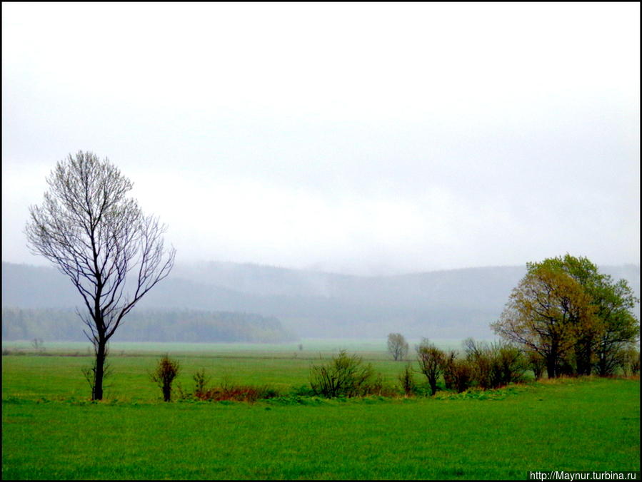 И   в  этом  есть  очарование... Южно-Сахалинск, Россия
