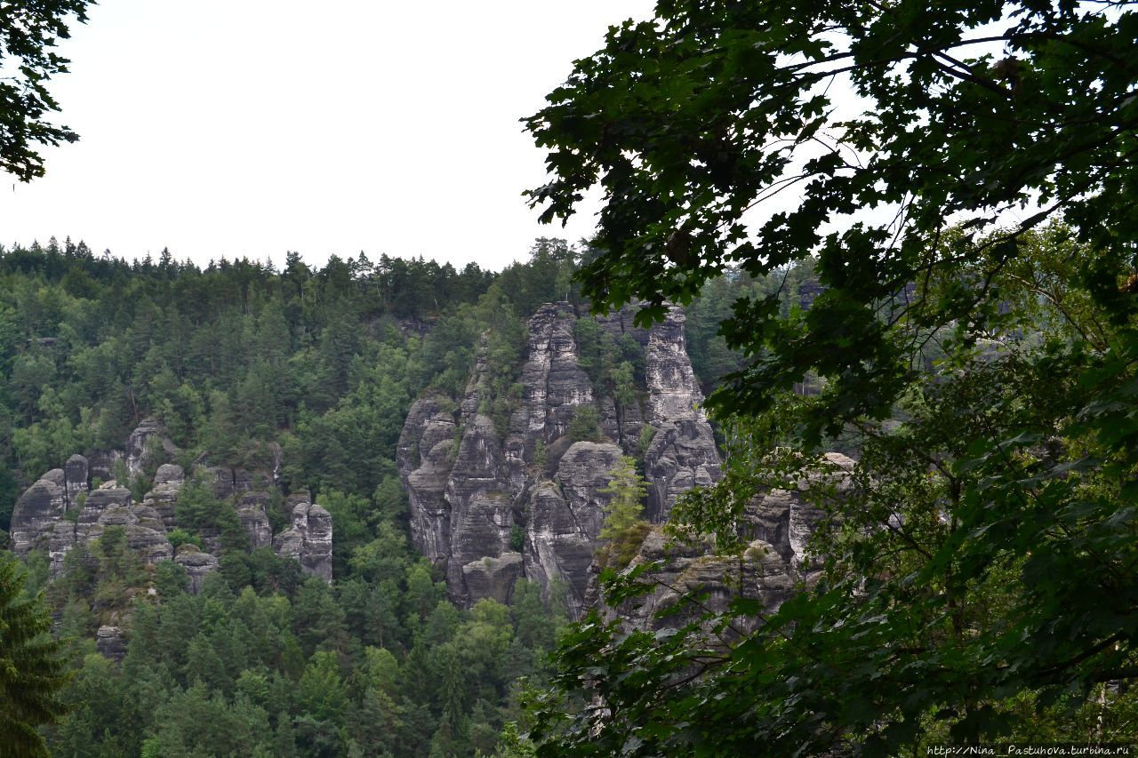 В Саксонской Швейцарии. Скалы и мост Бастай Саксонская Швейцария Национальный Парк, Германия