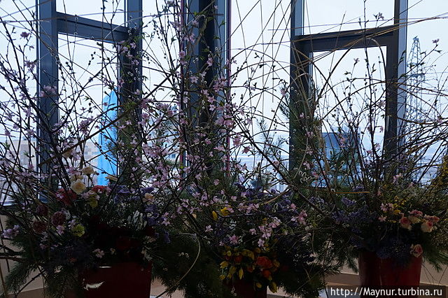 В фойе царило царство икебаны. Южно-Сахалинск, Россия