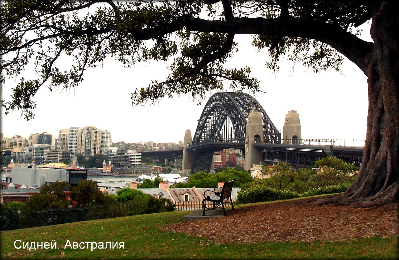 Южный левый берег. Австралия.Сидней.Королевский Ботанический сад. Сиднейский Королевский Ботанический сад. Парки Сидней Гарден. Парк Ройал Австралия.