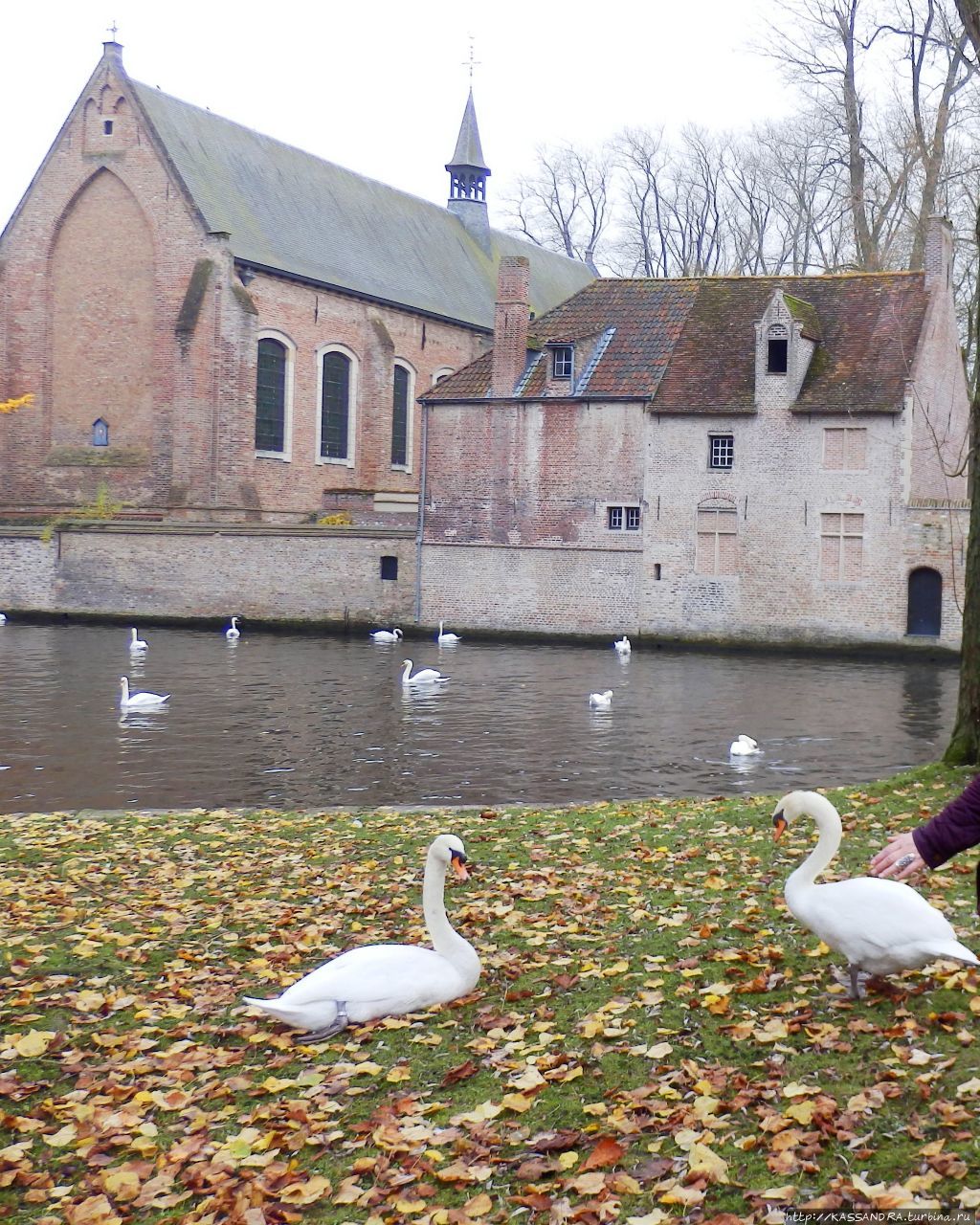 Романтичный Брюгге. Озеро Любви в парке Minnewater Брюгге, Бельгия