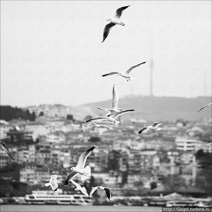 В Истамбуле-Константинополе Стамбул, Турция