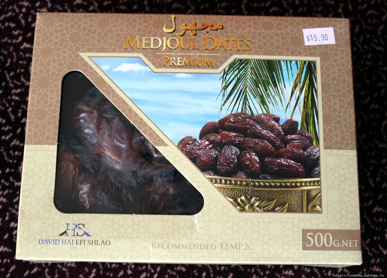 Финковая пальма Израиля Израиль