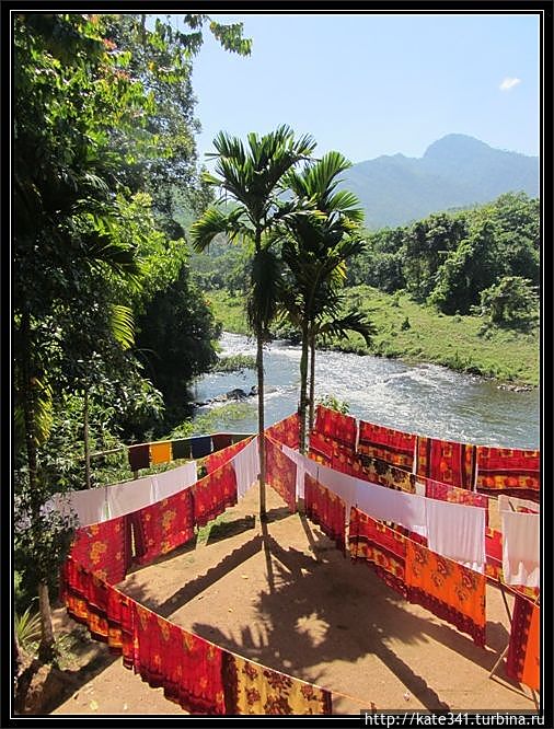 Внеплановое посещение родины чая и улыбок. Джунгли Китулгала, Шри-Ланка