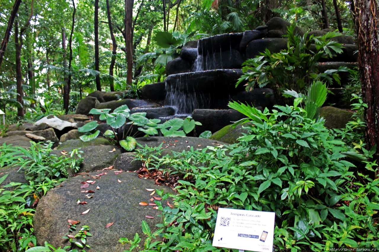 Водопад Темпинис остров Сентоза, Сингапур (город-государство)