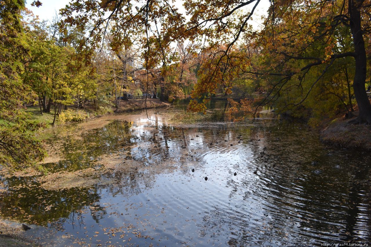 Городской парк культуры и отдыха 