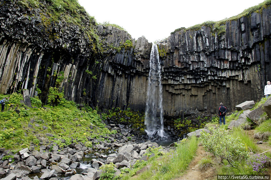 Svartifoss (Черный водопад) — необычное творение природы Свартифосс водопад, Исландия