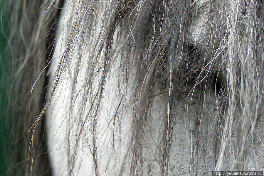 Раскрученный бренд Брест, Беларусь