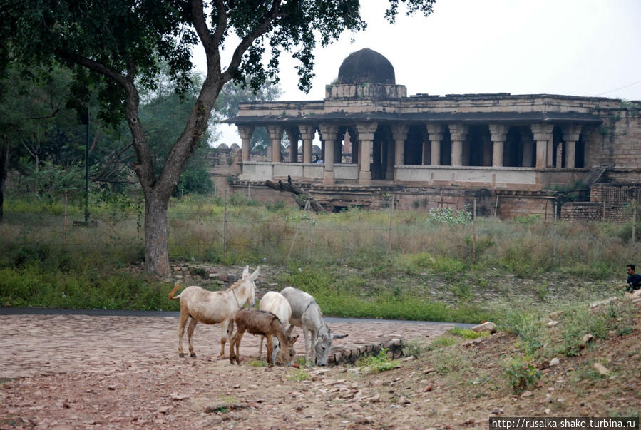 Дворец Викар Мандир Гвалиор, Индия
