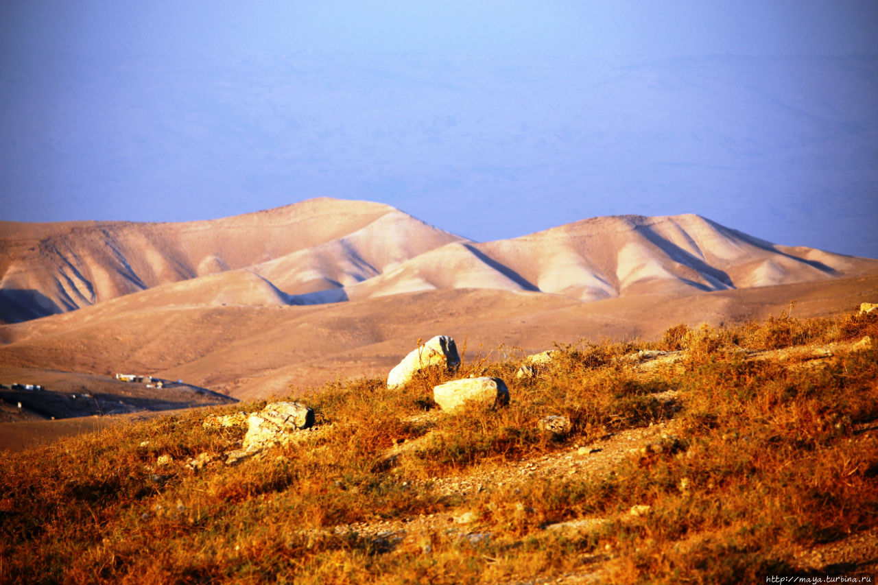 Иудейское нагорье. Иудейская пустыня израиль. Центральные холмы израиль. Каньон рамон израиль. Иудейские горы израиль.