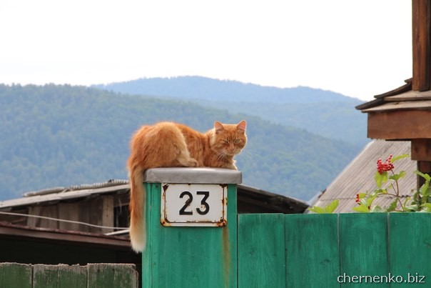 Автостопом на Байкал. Часть 1. Фотоотчёт Большие Коты, Россия
